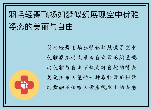 羽毛轻舞飞扬如梦似幻展现空中优雅姿态的美丽与自由