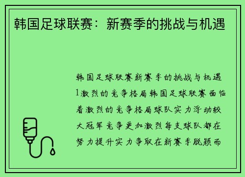 韩国足球联赛：新赛季的挑战与机遇