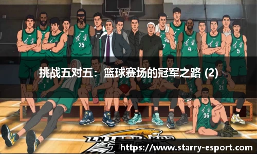 挑战五对五：篮球赛场的冠军之路 (2)
